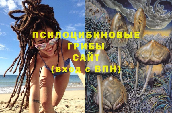 а пвп мука Армянск