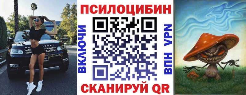 Псилоцибиновые грибы Psilocybine cubensis  купить   Родники 
